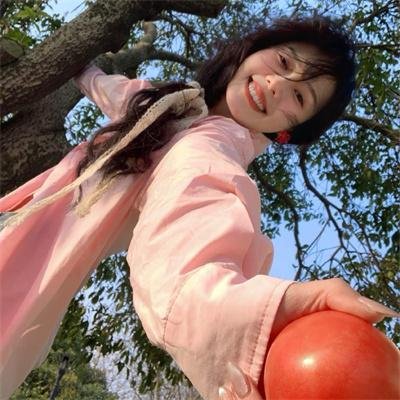 鬼马狐狸蛊惑狗